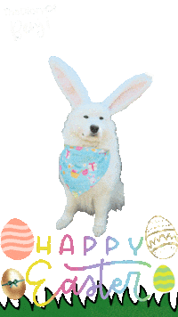 Bunny Easter Sticker