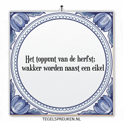 Humor Nl GIF by Tegelspreuken.nl