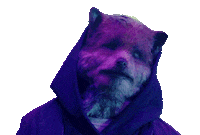 Chris Martin Eye Roll Sticker by Coldplay