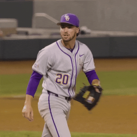 Lets Go Baseball GIF by LSU Tigers