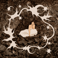 Artwork Album GIF by Joyful Noise Recordings