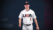 Pro GIF by USA Baseball