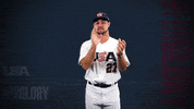 Pro GIF by USA Baseball
