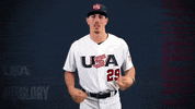 Pro GIF by USA Baseball