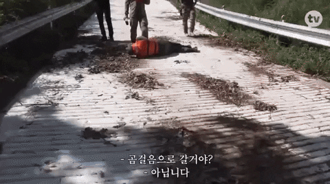 giphyupload GIF