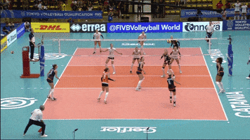 Happy Power GIF by Volleyball World