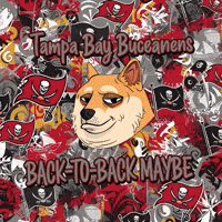 Super Bowl Football GIF by Doge Pound