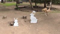 Zoo Animals Enjoy Easter-Themed Treats