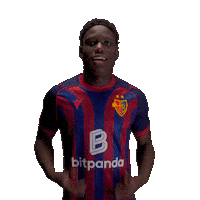 Football Soccer Sticker by FC Basel 1893