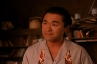 season 2 episode 6 GIF by Twin Peaks on Showtime
