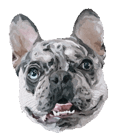 French Bulldog Dog Sticker by Floofsy