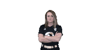 Angry Softball Sticker by UNCP Braves Athletics