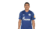 Looking Line Up Sticker by Bundesliga