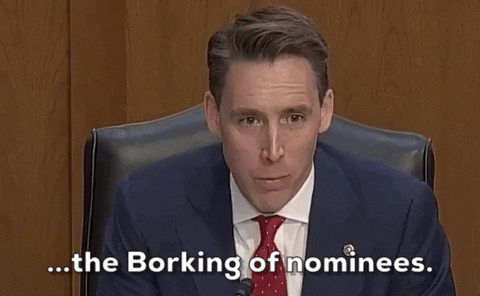 Senate Judiciary Committee Bork GIF by GIPHY News