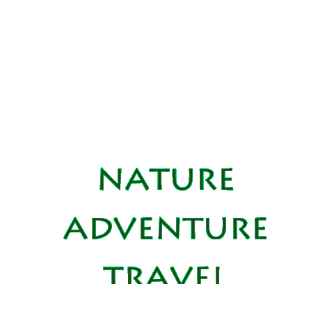 treetribe giphygifmaker trees treetribe tree tribe Sticker