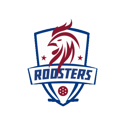 Roosters Yfa Sticker by Youth Floorball Academy