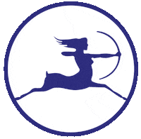 Otobus Sticker by Varan Türkiye