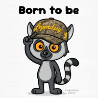 Point Hat GIF by VeeFriends