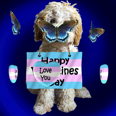 I Love You Lgbt GIF