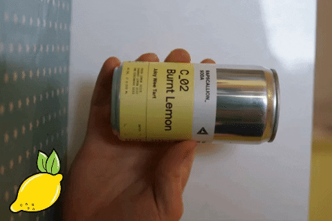 rapscallion_soda giphygifmaker giphyattribution tasty lemon GIF