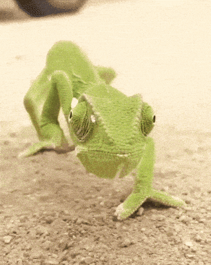 dustuncan giphyupload GIF