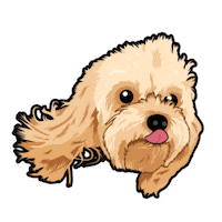 Doodle Cute Dog Sticker by Neat Pets Mementos