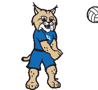 Lets Go Ball Sticker by Carroll Community College