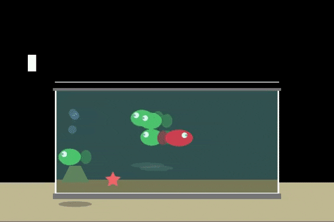 bestes giphyupload GIF