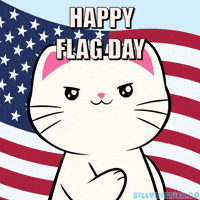 Independence Day Usa GIF by Silly Kitties