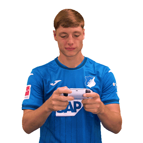 Sport Bundesliga Sticker by TSG Hoffenheim