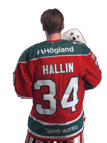 Sticker by MoDo Hockey