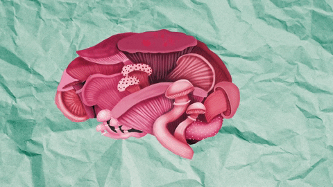 Think Magic Mushroom GIF by taxipictures