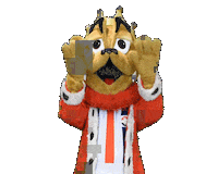 King Sticker by Willem II