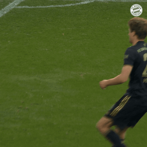Sport No GIF by FC Bayern Munich