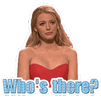 Wait What Hello Sticker by Blake Lively Fan