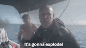 uh oh no GIF by Shark Week