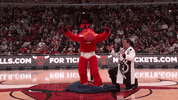 Benny The Bull Nba GIF by Chicago Bulls