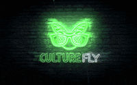 CultureFly night neon light fly GIF