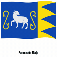 Flag Spain GIF by Formación Ninja