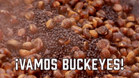 ¡Vamos Buckeyes!