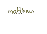 Matthew Sunflower Sticker