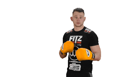Boxing Kickboxing Sticker by Fitz Gym