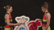 lugg GIF by Adelaide Crows
