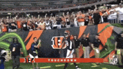 2018 Nfl Football GIF by NFL