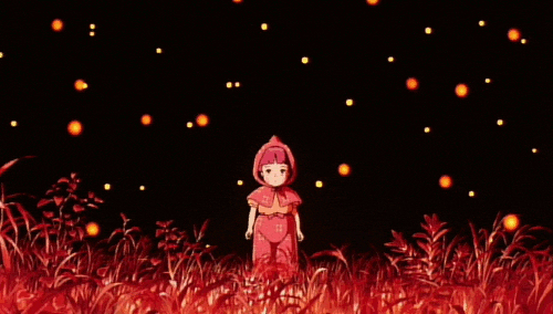 grave of the fireflys GIF