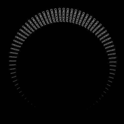 naufalrel typography kinetictypography animatedtype motiontype GIF