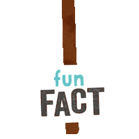 Fun Fact Sticker by Edgard & Cooper
