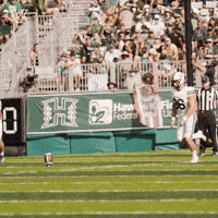 Celebrate College Football GIF by Vanderbilt Athletics
