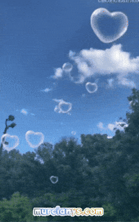 Corazon Arbol GIF by Murcianys LLC