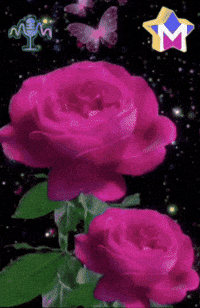 Que La Amigos GIF by Murcianys LLC